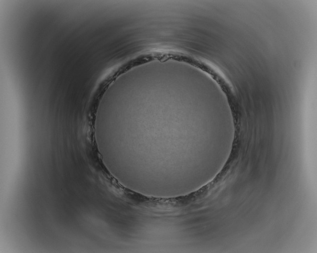 X0000114490823200910191229
