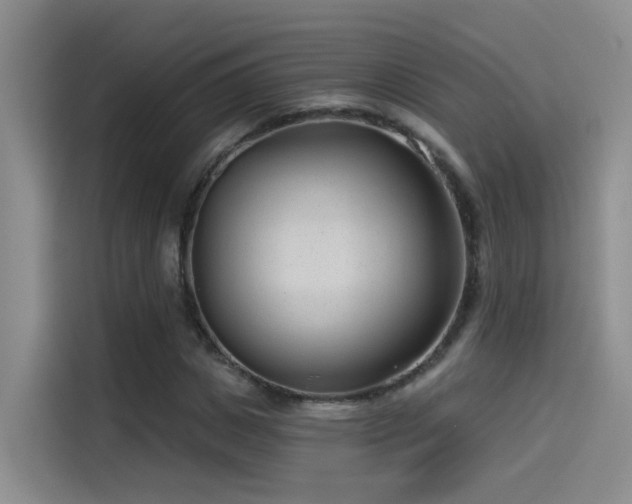 X0000114490825200910191229