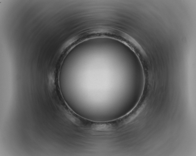 X0000114490826200910191229
