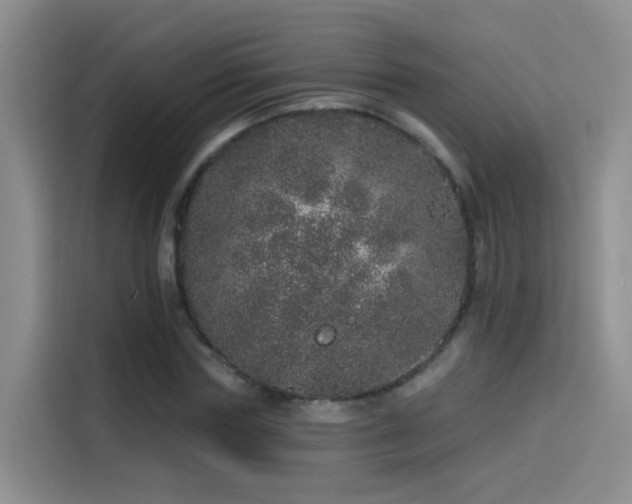 X0000114490827200910191229