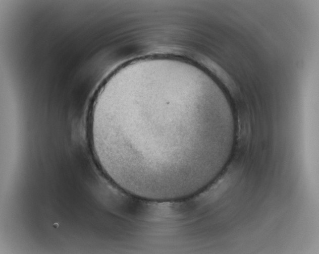 X0000114490828200910191229