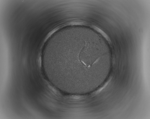 X0000114490829200910191229