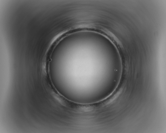 X0000114490830200910191229