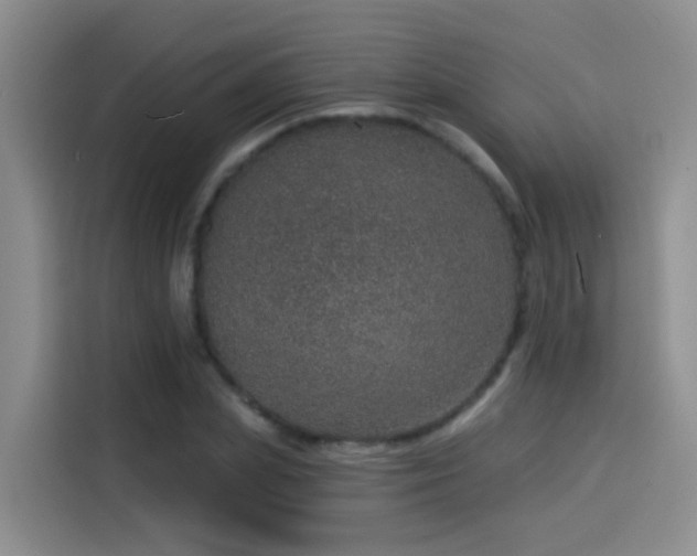 X0000114490831200910191229