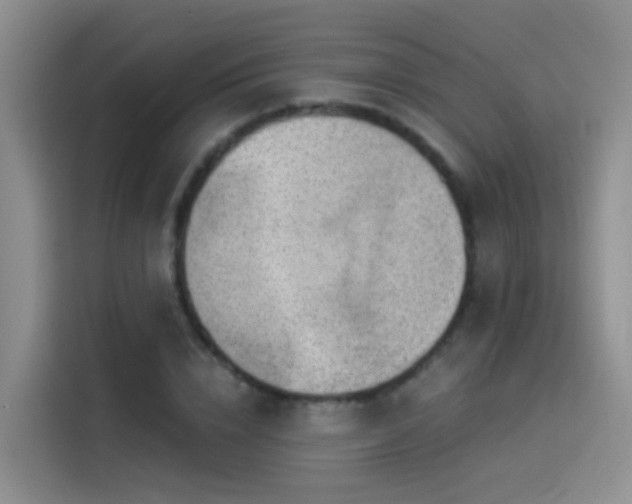 X0000114490832200910191229