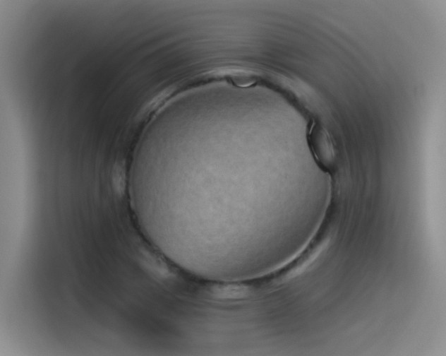 X0000114490833200910191229