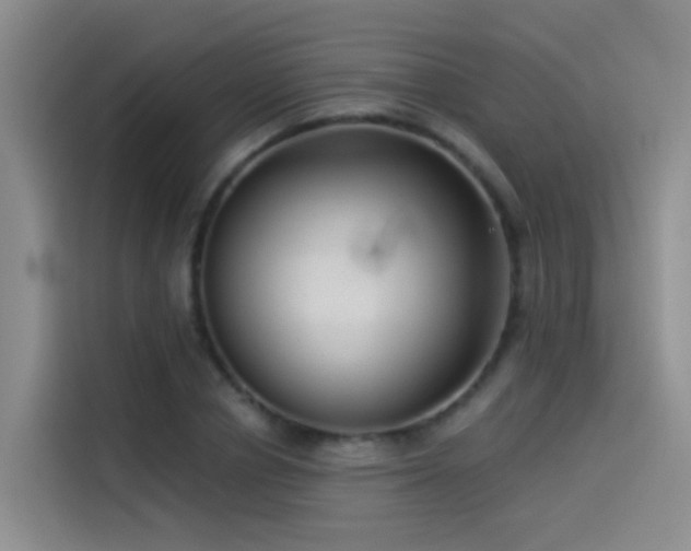 X0000114490834200910191229