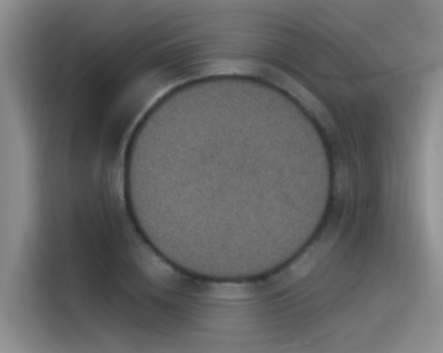 X0000114490836200910191229