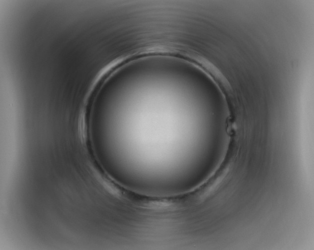 X0000114490838200910191229