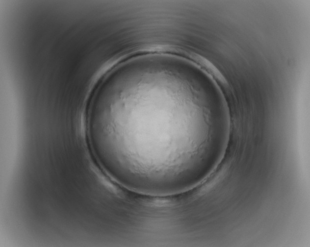 X0000114490839200910191229