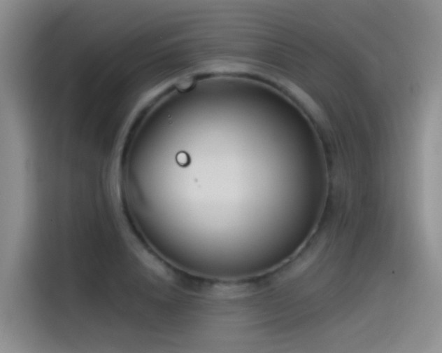 X0000114490840200910191229