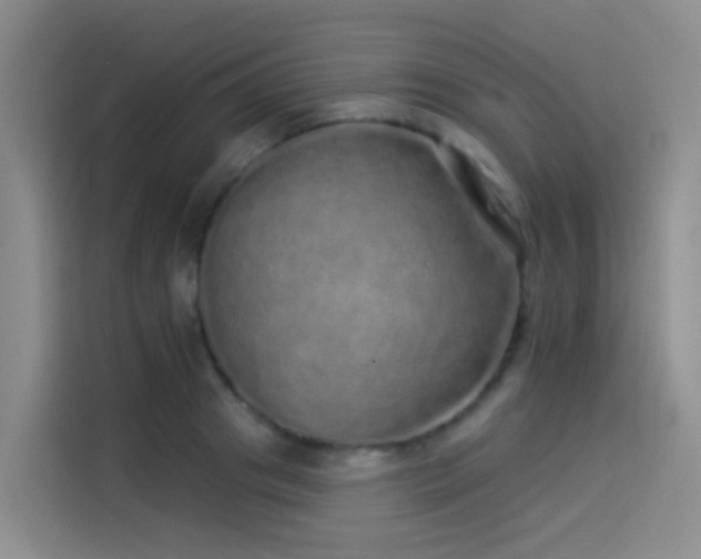 X0000114490841200910191229