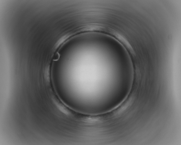 X0000114490842200910191229