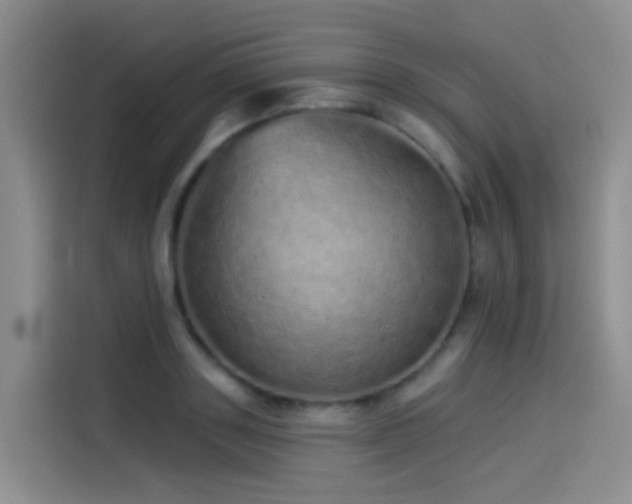 X0000114490843200910191229