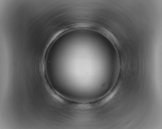X0000114490844200910191229
