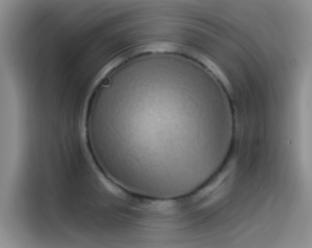 X0000114490845200910191229