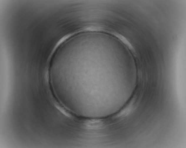 X0000114490846200910191229