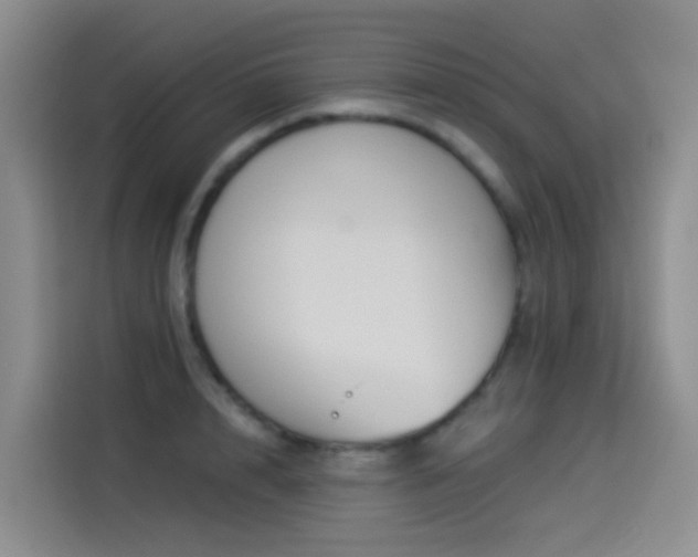 X0000114490848200910191229