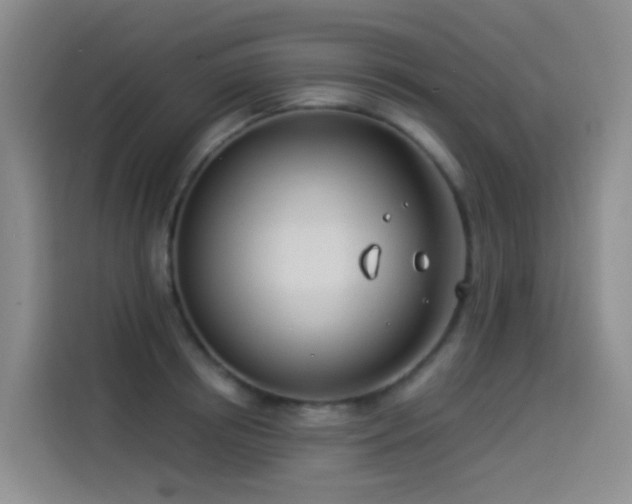 X0000114490850200910191229
