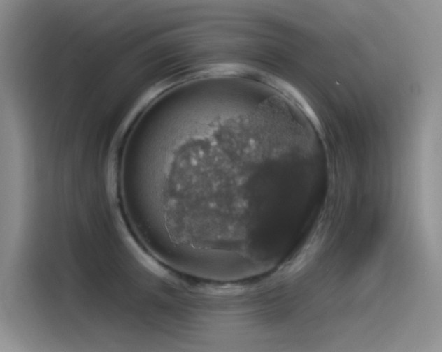 X0000114490851200910191229