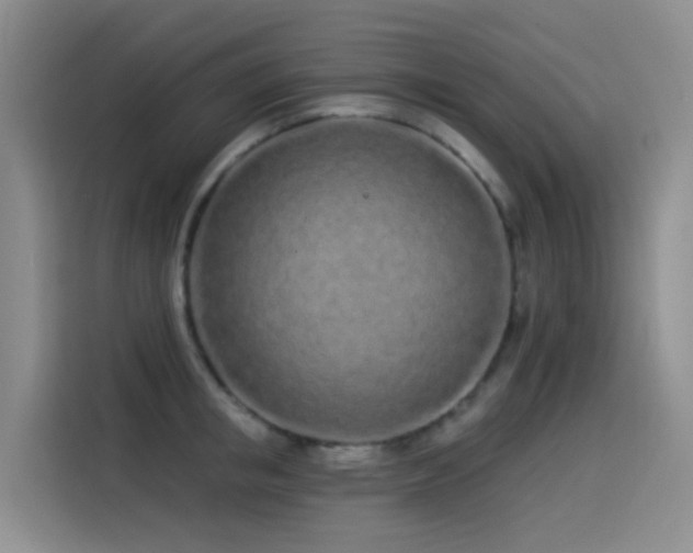 X0000114490853200910191229