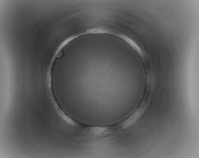 X0000114490854200910191229
