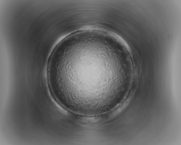X0000114490855200910191229