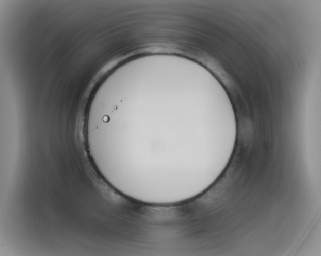 X0000114490856200910191229