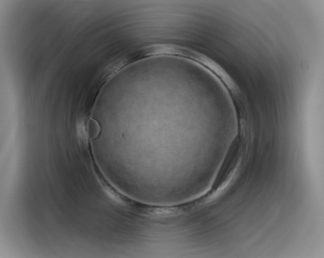 X0000114490857200910191229