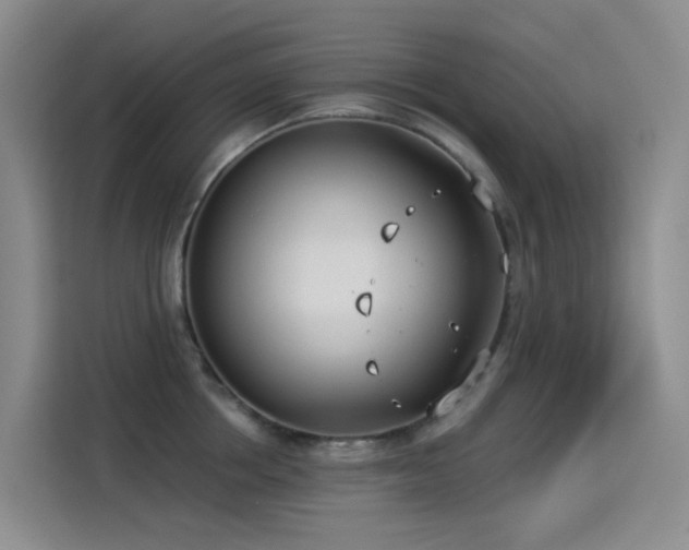 X0000114490858200910191229