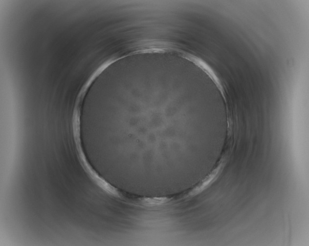 X0000114490859200910191229