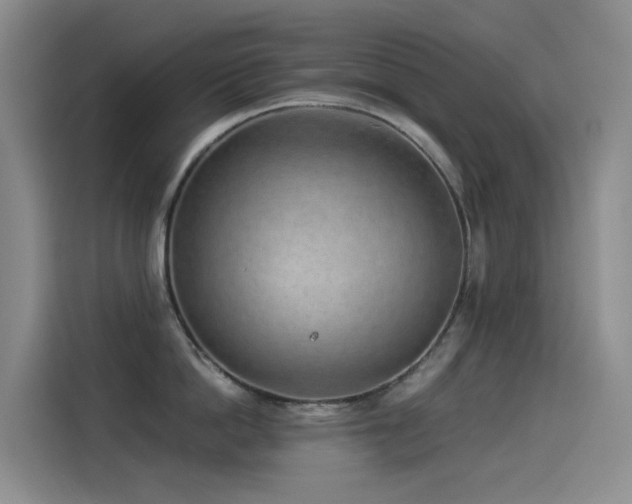 X0000114490862200910191229
