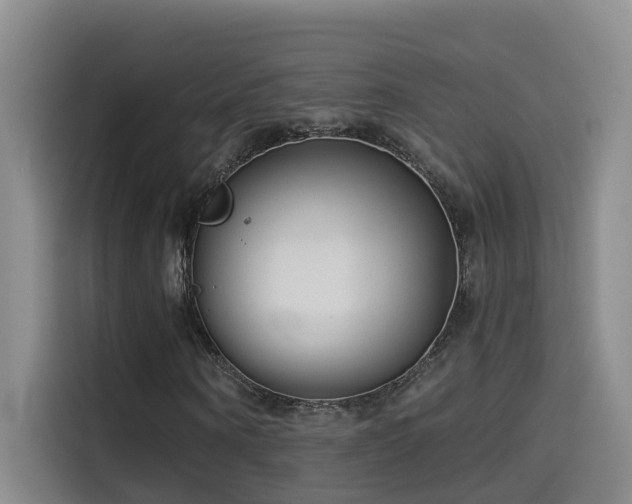 X0000114490866200910191229