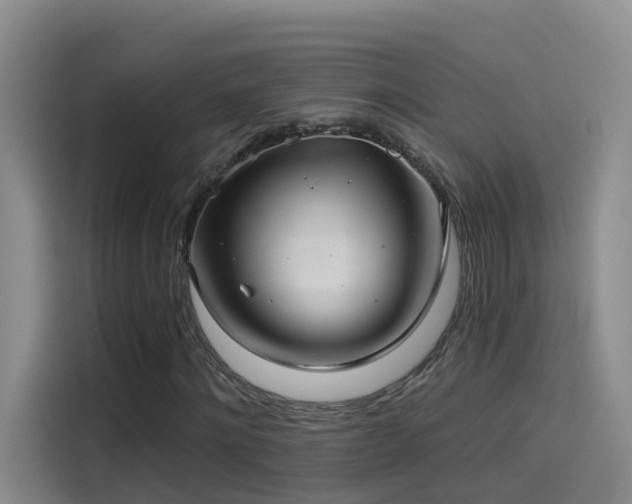 X0000114490868200910191229