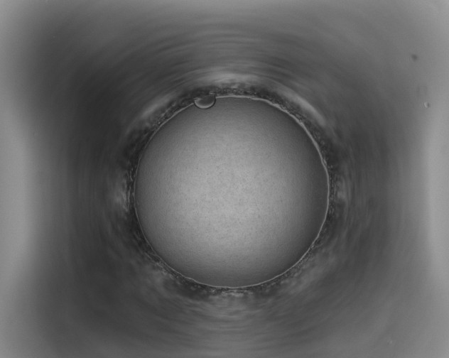 X0000114490869200910191229