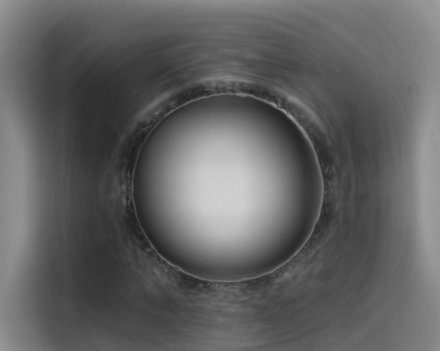 X0000114490870200910191229