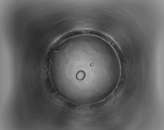 X0000114490871200910191229