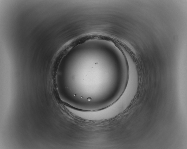 X0000114490872200910191229