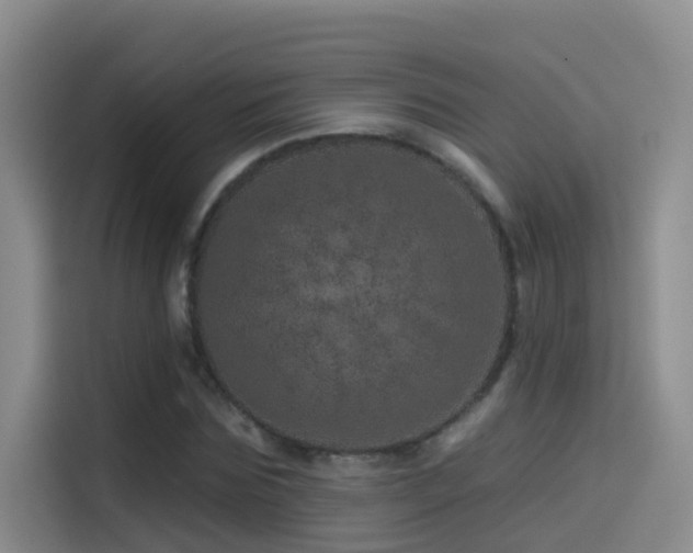 X0000114490875200910191229