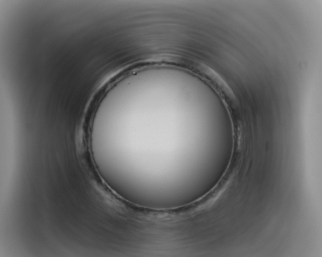 X0000114490876200910191229