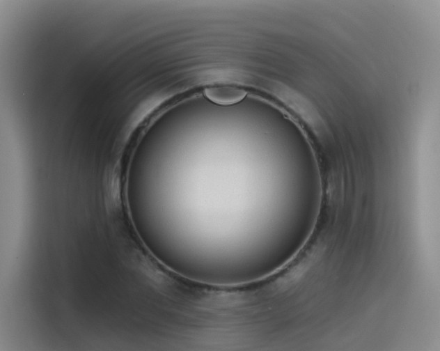 X0000114490877200910191229