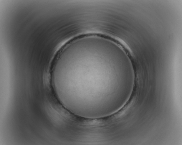 X0000114490879200910191229