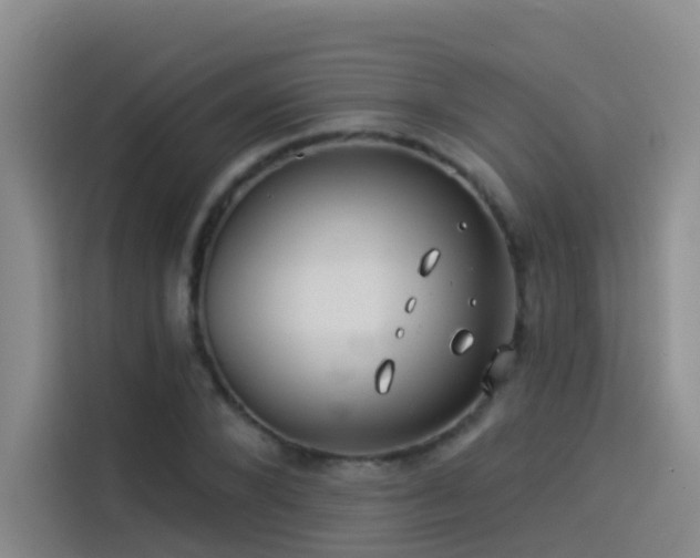 X0000114490880200910191229
