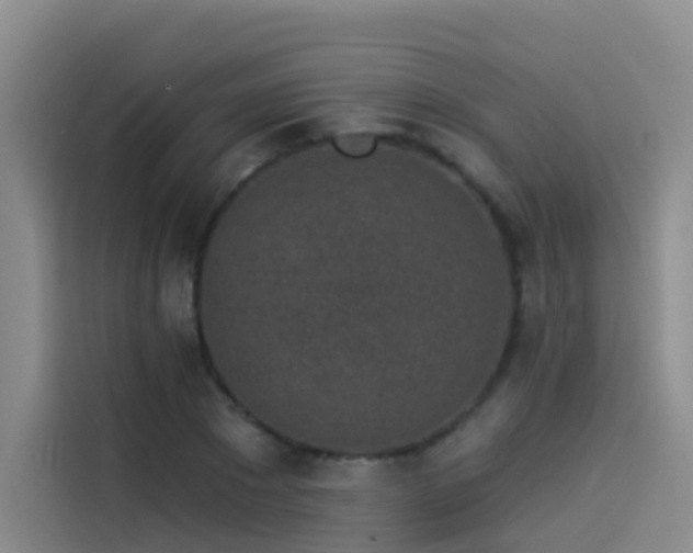 X0000114490881200910191229