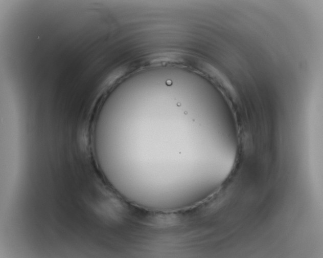 X0000114490882200910191229