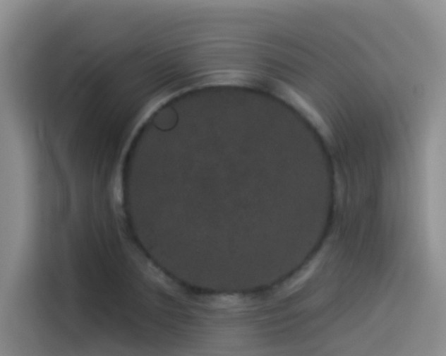 X0000114490883200910191229