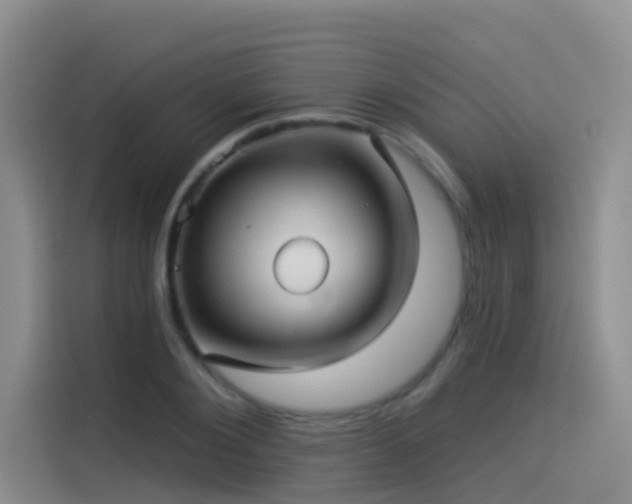 X0000114490884200910191229