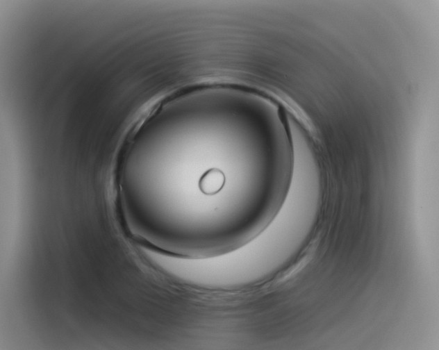 X0000114490885200910191229