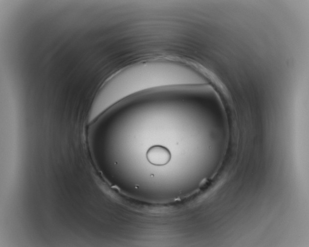 X0000114490889200910191228