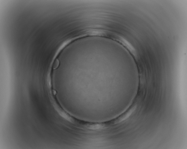 X0000114490891200910191228